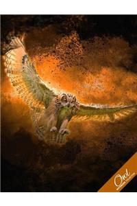 Owl Notebook Collection