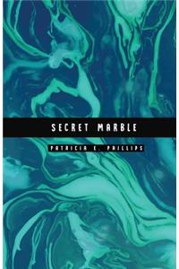 Secret Marble: Turquoise Marble Password Notebook Help You Conceal and Protect Your Password Information