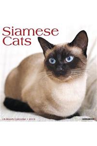 Siamese Cats 2019 Wall Calendar