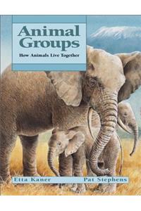 Animal Groups