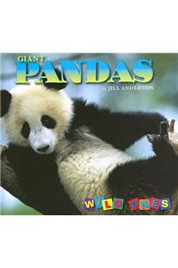 Giant Pandas