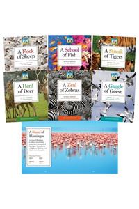 Animal Groups (Set)