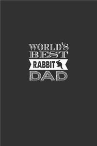 Rabbit Dad
