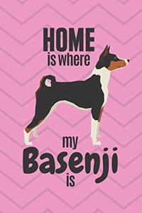 Home is where my Basenji is