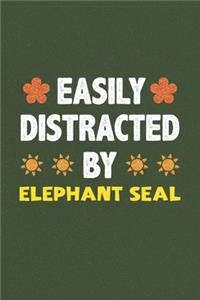 Easily Distracted By Elephant Seal