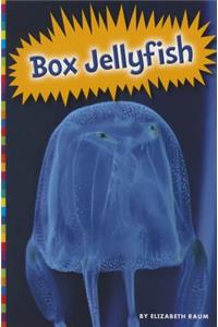 Box Jellyfish