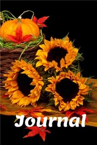 Journal