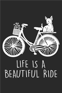 Life is a beautiful Ride