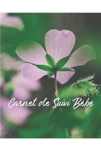 Carnet de Suivi Bébé