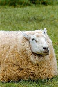 This Huge Sheep is a Unit Journal