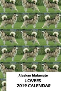 Alaskan Malamute Lovers 2019 Calendar