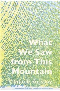 What We Saw From This Mountain