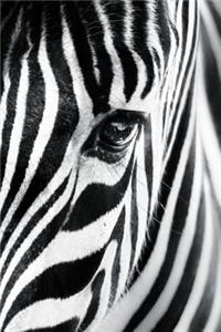 Zebra Notebook