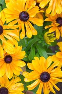 Black Eyed Susan Flower Notebook