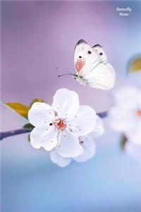Butterfly Notes
