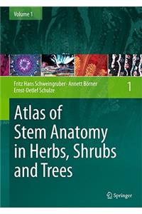 Atlas of Stem Anatomy in Herbs, Shrubs and Trees, Volume 1