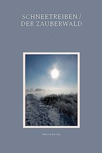 Schneetreiben / Der Zauberwald