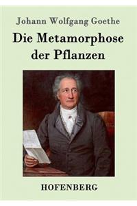 Metamorphose der Pflanzen