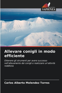 Allevare conigli in modo efficiente