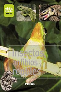 Insectos, anfibios y reptiles / Insects, amphibians and reptiles