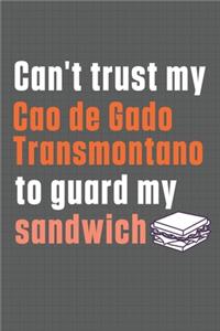 Can't trust my Cao de Gado Transmontano to guard my sandwich