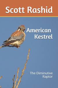 The American Kestrel
