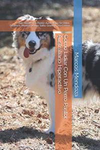 Cómo Lidiar Con Un Perro Pastor Australiano Hiperactivo