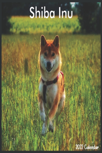 Shiba Inu 2022 Calendar