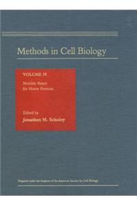 Motility Assays for Motor Proteins