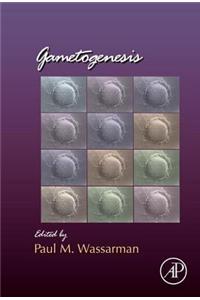 Gametogenesis