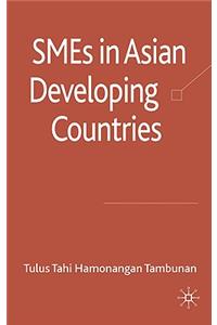 SMEs in Asian Developing Countries