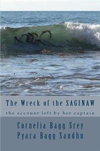 Wreck of the Saginaw