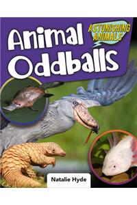 Animal Oddballs