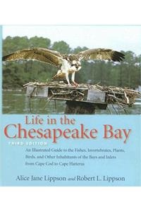 Life in the Chesapeake Bay