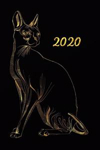 2020