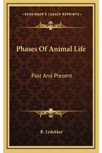 Phases of Animal Life