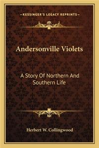 Andersonville Violets