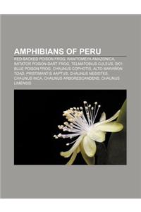 Amphibians of Peru: Red-Backed Poison Frog, Ranitomeya Amazonica, Imitator Poison-Dart Frog, Telmatobius Culeus, Sky-Blue Poison Frog