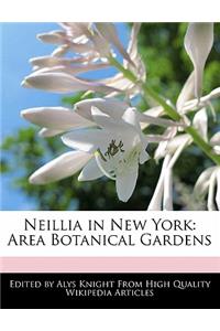 Neillia in New York