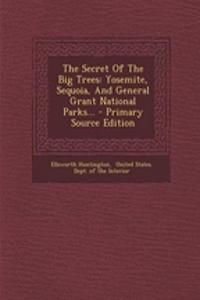 The Secret of the Big Trees