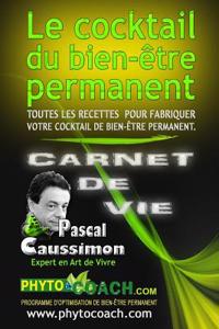 Le Cocktail Du Bien-Etre Permanent