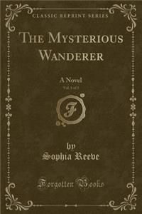 The Mysterious Wanderer, Vol. 1 of 3: A Novel (Classic Reprint)