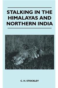 Stalking In The Himalayas And Northern India