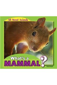 What's a Mammal?