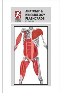 Anatomy & Kinesiology Flashcards