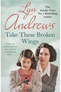 Take These Broken Wings