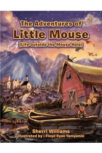 The Adventures of Little Mouse