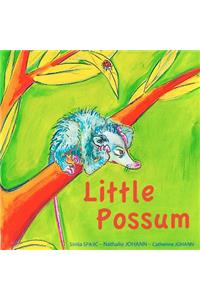 Little Possum