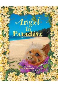 Angel in Paradise