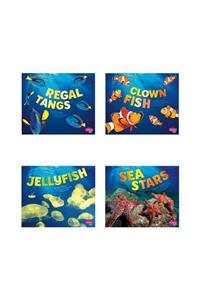 Sea Life